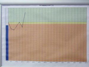 visual track